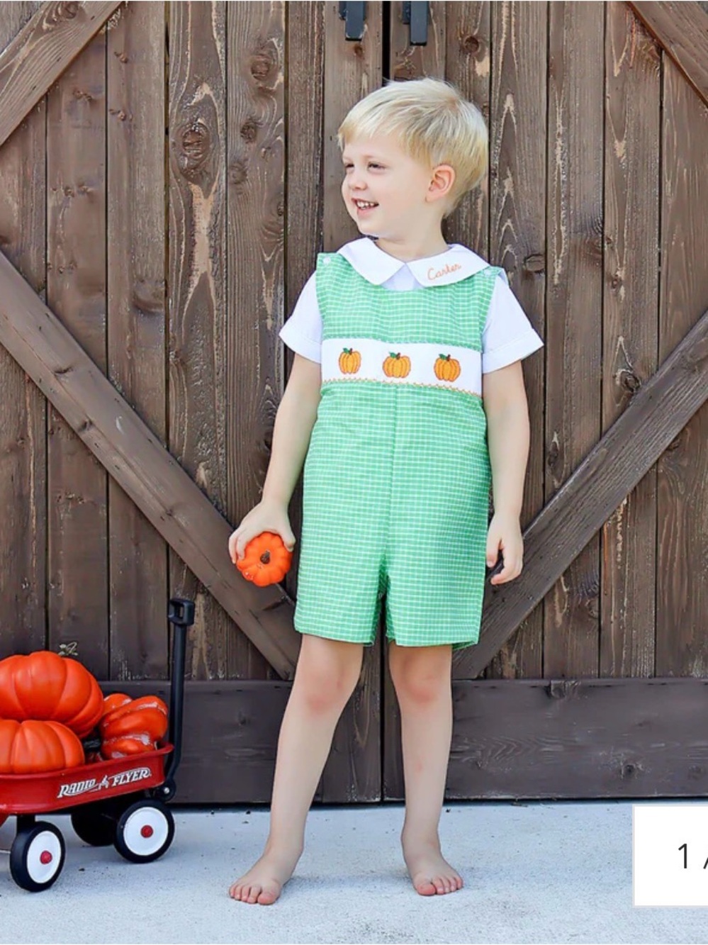 Classic‎ Whimsy Paradise Pumpkin Smocked Green Windowpane Plaid Jon Jon 24M